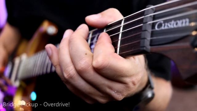 Custom 24 Vs SE Hollowbody II - PRS Vs PRS!