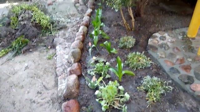 Оформление небольшого участка в японском стиле. Часть 2 смотреть онлайн