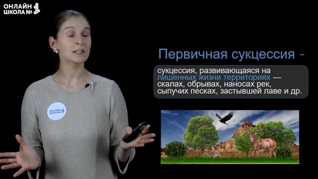 Экологические сукцессии. Видеоурок 25. Биология 11 класс смотреть онлайн