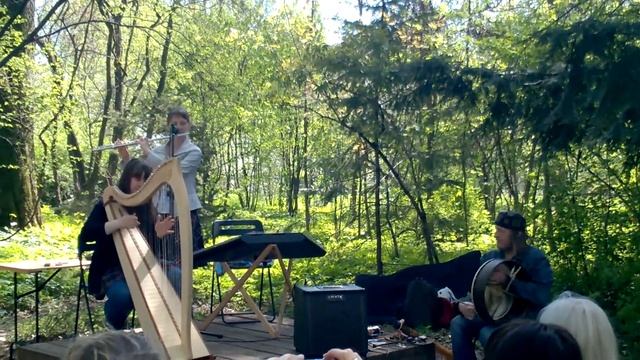 Ballydesmond polka |Dragon Fly| celtic harp, flute & bodhran - irish music смотреть онлайн