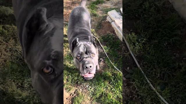 Мама всегда права 🥰 смотреть онлайн