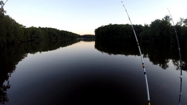 Debunking Catfishing Myths!!! Plus awesome tip and techniques for catching catfish