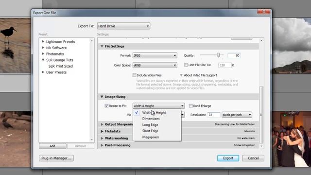 Creating Export Presets for Web in Adobe Lightroom 3 смотреть онлайн