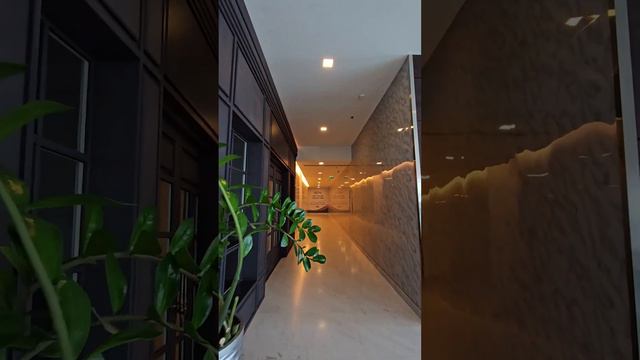 Royal M Hotel Fujairah | Tajj App | FEX смотреть онлайн