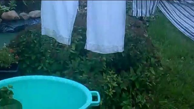 Чистка Фильтр воздушный нулевого сопротивления смотреть онлайн