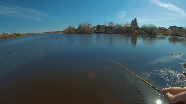 Рыбалка весной. Мормышинг. Окуни. смотреть онлайн