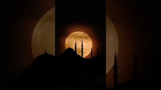 Allahu Ya' Lamu Nasheed Repeated || Arabic nasheed смотреть онлайн