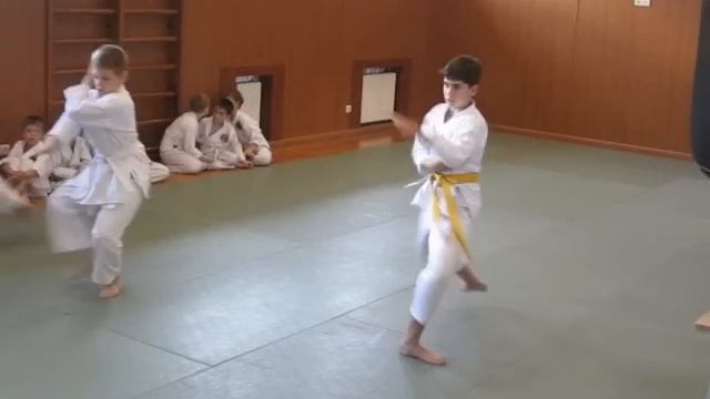 Аттестация на желтый пояс по Карате - ( Кихон ) смотреть онлайн