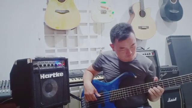 Hartke A 25 sound test Play that funky music ( short cover ) смотреть онлайн