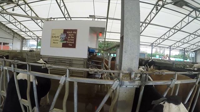 Vancouver Island,Canada-family Trip/Остров Ванкувер,Канада- путешествие с семьей 2 дня.Что посетить