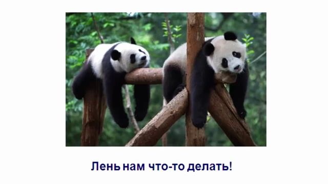 Что больше всего нужно людям? Что продавать людям, что им нужно? смотреть онлайн