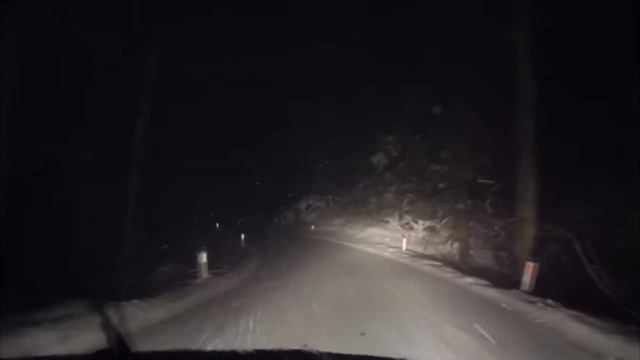 Cartoon Cat Heard Through Blizzard