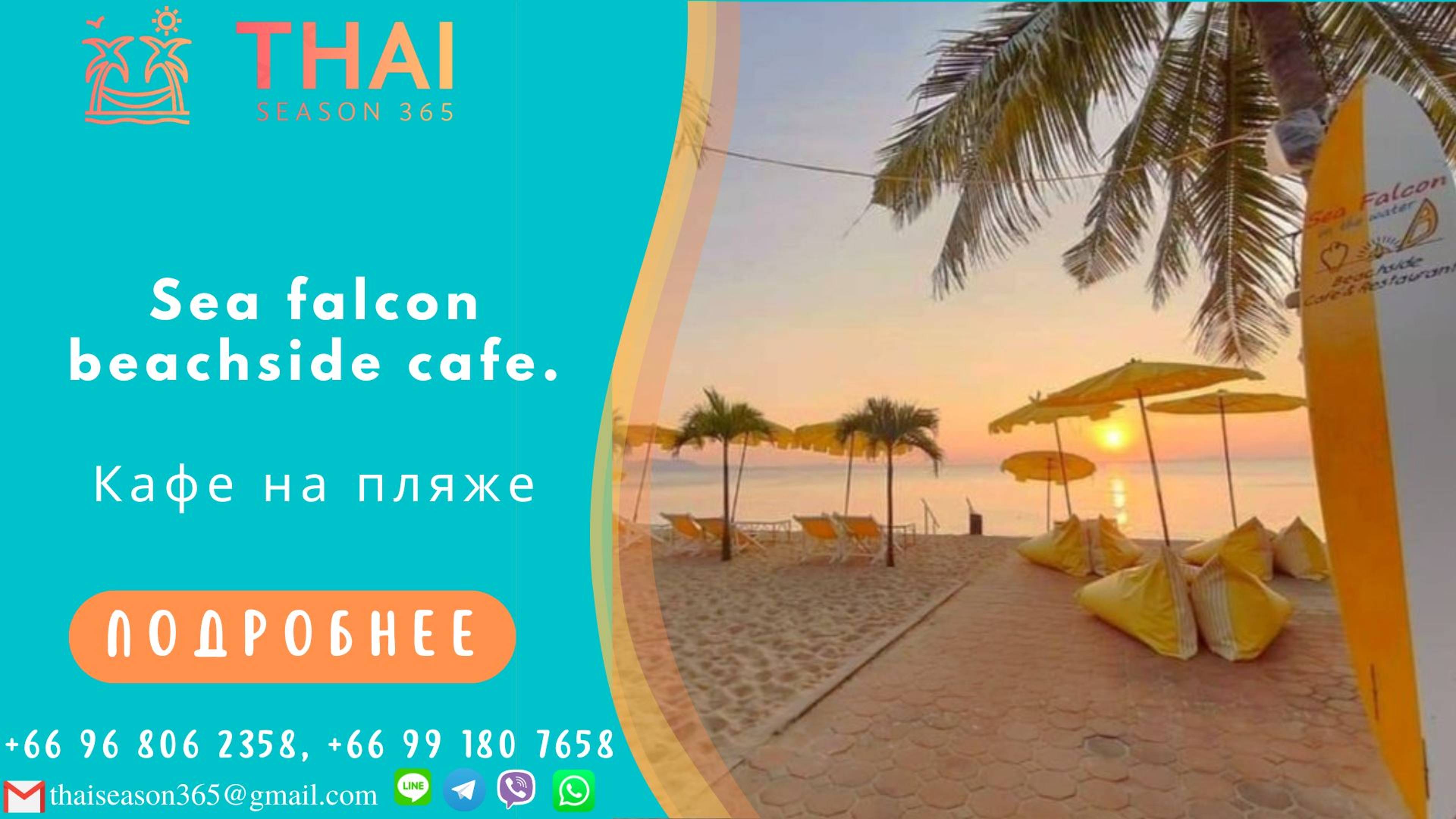 Sea Falcon. Локация в описании