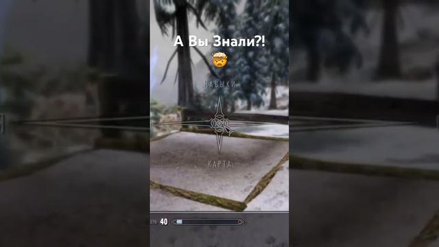 Самая Секретная Секретка из ВСЕХ Секреток в Скайриме #стрим #skyrim #tesugames смотреть онлайн