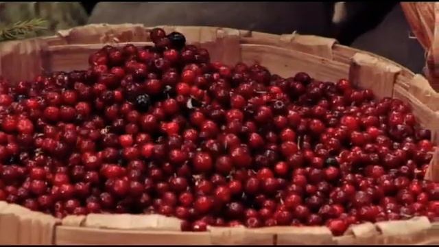Морс ягодный "Брусника" ОАО "Славмо" 2008г. смотреть онлайн