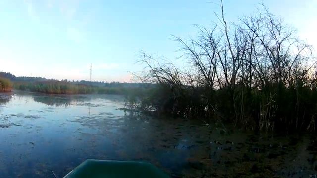 Открытие охоты на утку 08.08.2020 утро/Налет за налетом/Чомга/Кузнецовы Family смотреть онлайн