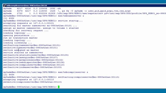 [Archived][1.0 SPS 09] SAP HANA Security: Reset SYSTEM Password - SAP HANA Academy смотреть онлайн