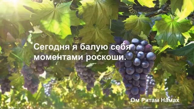 Двадцатая Медитация Жить в роскоши смотреть онлайн