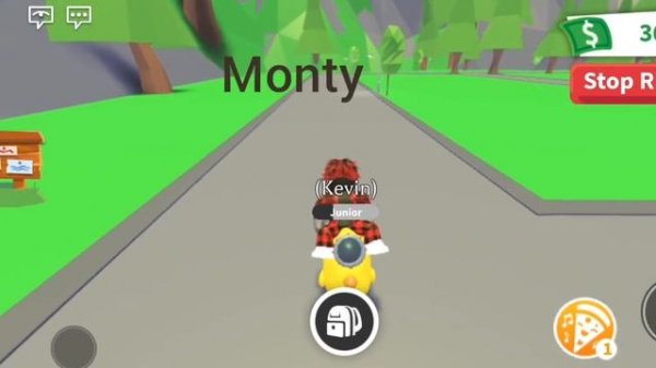 Промокоды в star pets                   #roblox #starpets