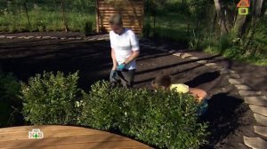 Dachni otvet 10.09.2017 дачный ответ на remont-online.net