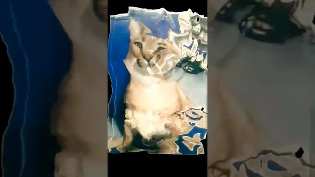 шлёпа большой русский кот каракал смотреть онлайн