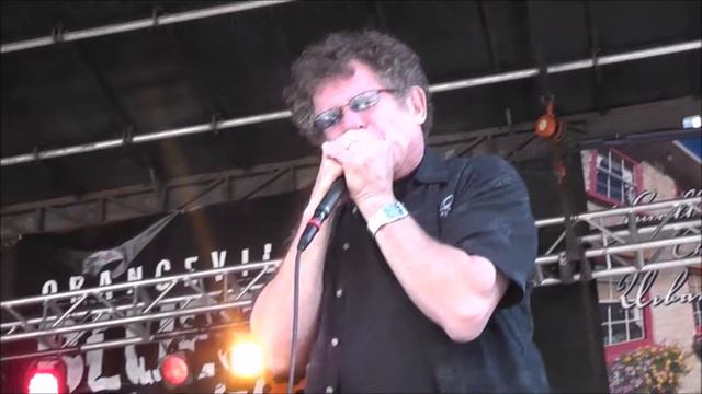 ORANGEVILLE BLUES & JAZZ 2017 LEE OSKAR смотреть онлайн