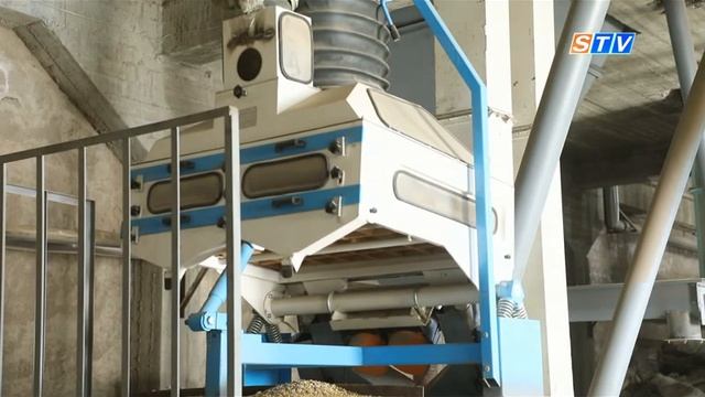 В Акдарье запущено производство растительного мяса смотреть онлайн