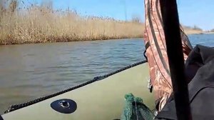 Лодочный мотор Suzuki DF5 ( Сузуки DF5)