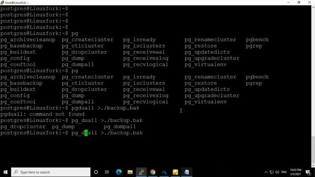 How to take backup and restore PostgreSQL databases on Linux смотреть онлайн