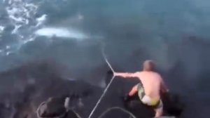 Рыбалка на тигровую акулу  Реальный трофей!