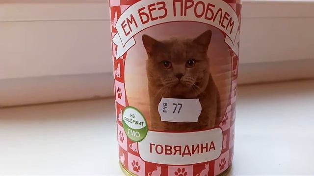 🐱🐈🐾Покупки из зоомагазина🐱🐈🐾 смотреть онлайн