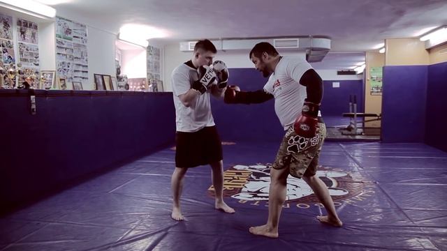 Роман Зенцов: работа руками по корпусу (правильная техника и тактика нанесения ударов) смотреть онлайн