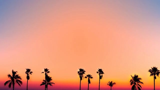 Fly Project Don Reggaeton Letra Lyrics lofi lyrics смотреть онлайн