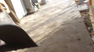 Про задний маятник на квадроцикле.