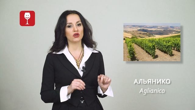Сорт винограда Альянико смотреть онлайн