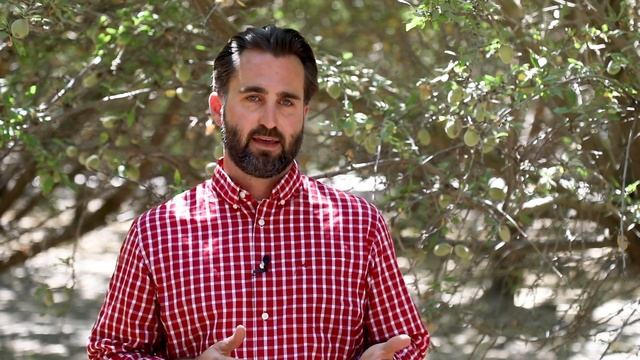 Control Navel Orangeworm with Minecto Pro смотреть онлайн