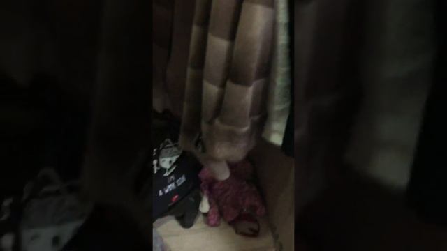 Амакс Курорт Новая Истра 4* смотреть онлайн