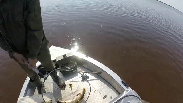 Рыбалка с комфортом на новой лодке ТРИЕРА 431 фиш нас удивила!!! смотреть онлайн