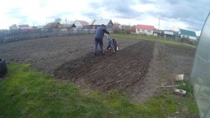 Борона для мотоблока. Испытание, результат потрясающий.