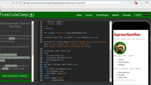 Add Placeholder Text to a Text Field- freeCodeCamp HTML5 and CSS lesson #27 смотреть онлайн