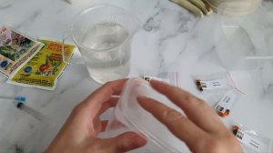 Стрелиция королевская и стрелиция Николая из семян. Часть 1