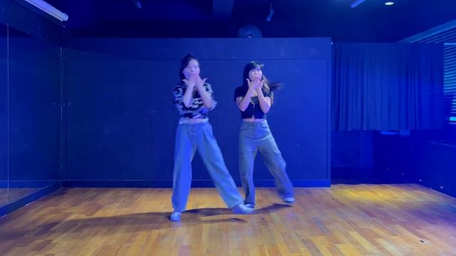 BLACK PINK(블랙핑크) - PINK VENOM(핑크베놈) l 2인 안무 거울모드 댄스커버ㅣDANCE COVERㅣMIRRORED смотреть онлайн
