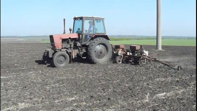 Посев подсолнечника 2012. смотреть онлайн