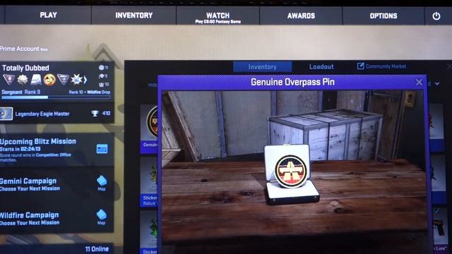 CS:GO Series 2 Pins - Unboxing Overpass and Guardian 2 - By Totallydubbed смотреть онлайн