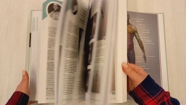 Анатомия для 3D-художников. Курс для разработчиков персонажей компьютерной графики смотреть онлайн