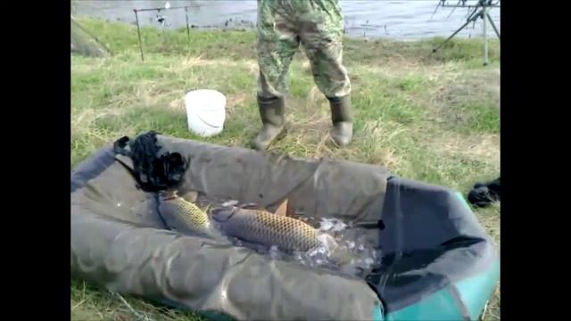 Карпфишинг. Дикий карп (часть 2). СКО оз. Кендыкты. смотреть онлайн