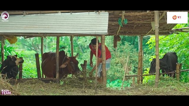 Village Project | New Natok | Sajal, Sabuj, Ifti, Shahin, Rabina, Mim | Drama Serial | EP 135 смотреть онлайн