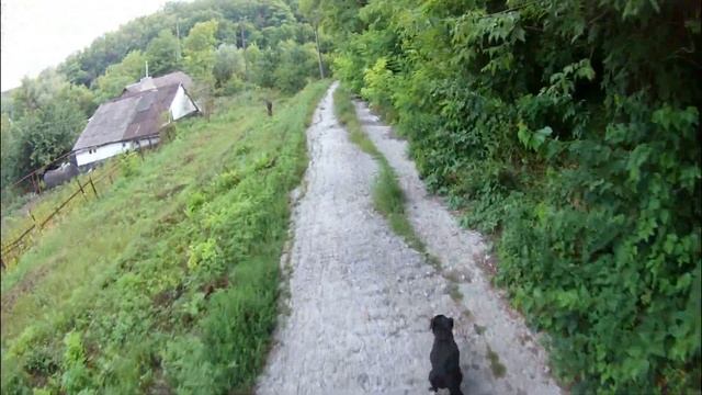 Эндуро Покатушки на Kawasaki KX 125 Enduro Pokatushki on Kawasaki KX 125 смотреть онлайн