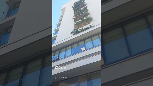 Кипр, Лимасол, новогодняя ёлка, новый год, Рождество, около кафе, отель