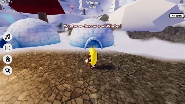 I Found the RARE Village Socks in Roblox Find The Socks